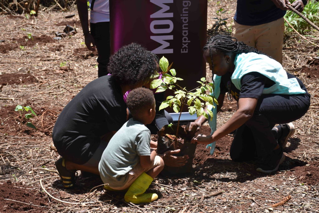 Together To The Roots Initiative – Giving Back To Nature
